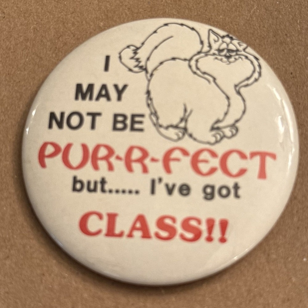 I May Not Be Purrfect But I've Got Class VTG Cat Pinback Button Pin Round Circle